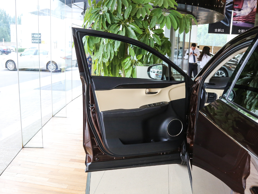 2018׿_˹NX 200 hа ȫ V