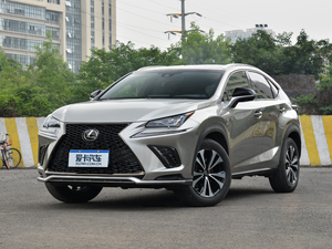 2018300 F SPORT ȫ V ǰ45