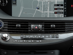 2020500h F SPORT VI {(dio)L(fng)