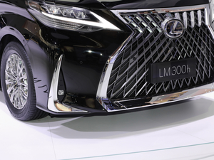 2020��300h ���������� �������^