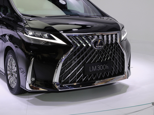 2020��300h ���������� �������^