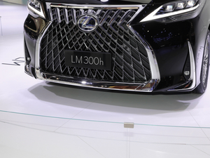 2020��300h ���������� �������^