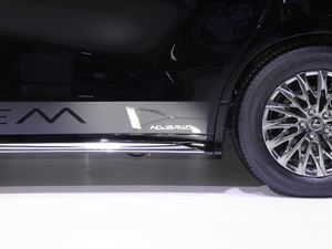 2020��300h ���������� �������^