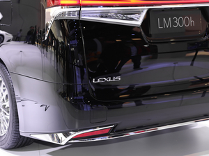 2020��300h ���������� �������^