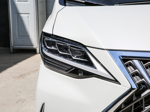 2020��300h ���������� �������^