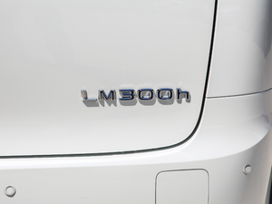 2020��300h ���������� ��(x��)��(ji��)���^