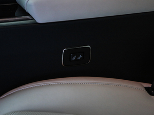 2020��300h ���������� ���g����