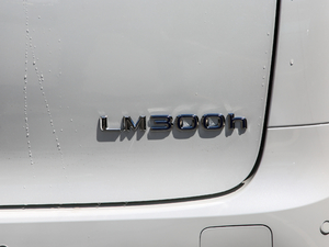 2020��300h �����h�Ű� �������^