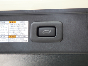 2020��300h �����h�Ű� ���g����