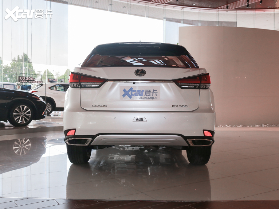 2020׿_˹RX Ŀ 300 (q)Ӣ