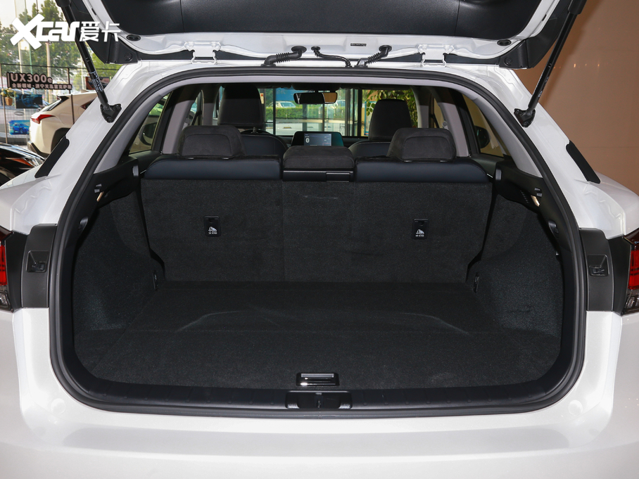 2020׿_˹RX Ŀ 300 򌾫Ӣ