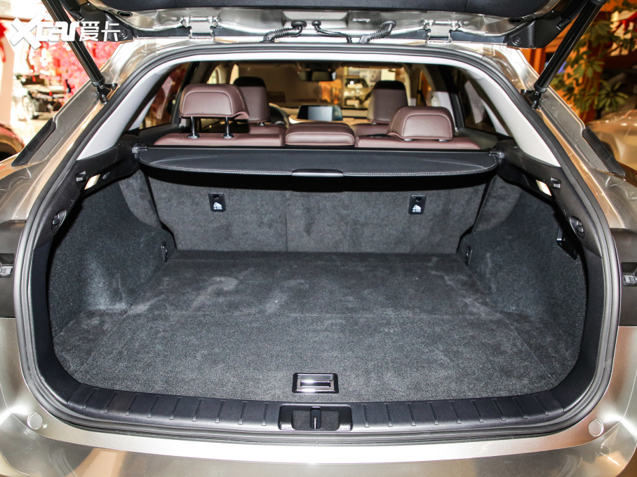 2020׿_˹RX Ŀ 300 A