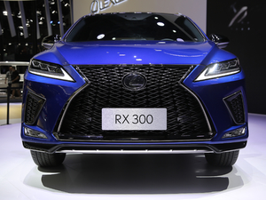 2020300 F SPORT VI ^