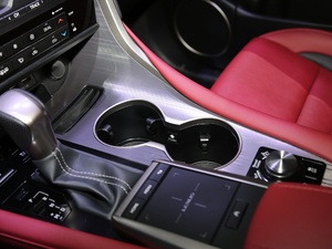 2020300 F SPORT VI g