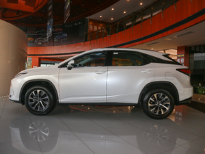 2020Ŀ 300 򌾫Ӣ ȣ