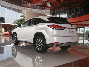 2020Ŀ 300 򌾫Ӣ 45