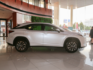 2020Ŀ 300 򌾫Ӣ w^