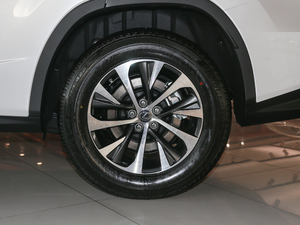 2020Ŀ 300 򌾫Ӣ ݆Ȧ