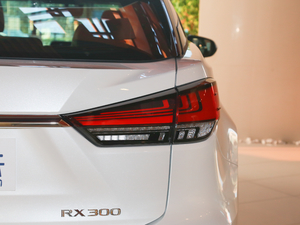 2020Ŀ 300 򌾫Ӣ β