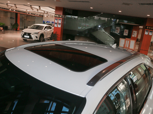 2020Ŀ 300 򌾫Ӣ ܇