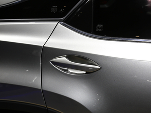 2020Ŀ 300 (q)A (x)(ji)^