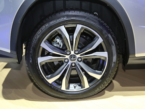 2020Ŀ 300 (q)A (x)(ji)^