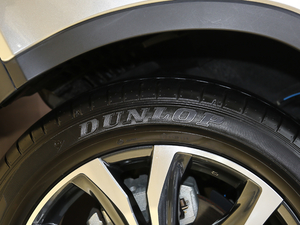 2020Ŀ 300 (q)A ݆̥Ʒ