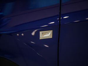 2020Ŀ 300 F SPORT ^