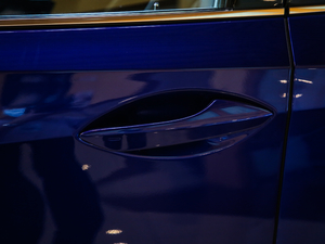 2020Ŀ 300 F SPORT ^