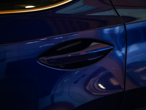 2020Ŀ 300 F SPORT ^