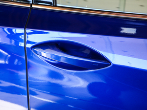 2020Ŀ 300 F SPORT (ji)^