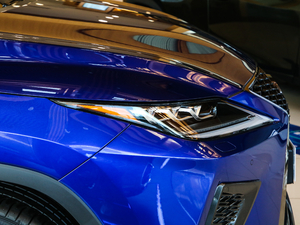 2020Ŀ 300 F SPORT (ji)^