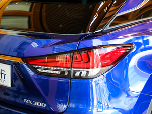 2020Ŀ 300 F SPORT (ji)^