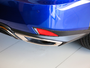 2020Ŀ 300 F SPORT (ji)^