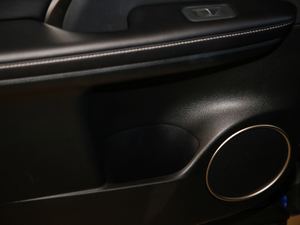 2020Ŀ 300 F SPORT g