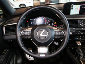 2020Ŀ 300 F SPORT P