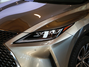 2020Ŀ 300 (q)Ű (x)(ji)^