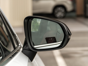 2020Ŀ 300 F SPORT (ji)^