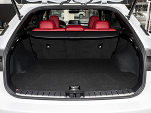 2020Ŀ 300 F SPORT g