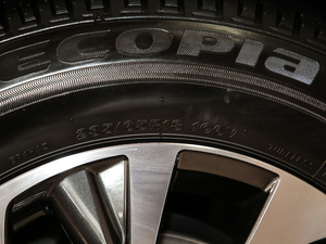 2020Ŀ 300 򌾫Ӣ ݆̥ߴ