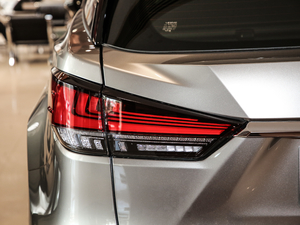 2020Ŀ 300 򌾫Ӣ β