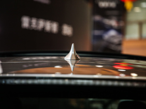 2020Ŀ 300 (q)A (x)(ji)^