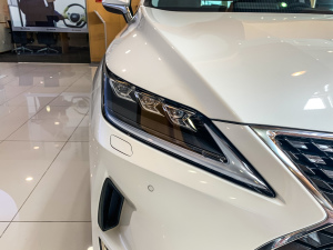 2020Ŀ 300 (q)m (x)(ji)^