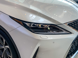 2020Ŀ 300 (q)m (x)(ji)^