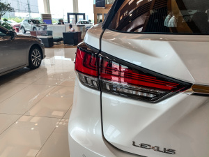 2020Ŀ 300 (q)m (x)(ji)^