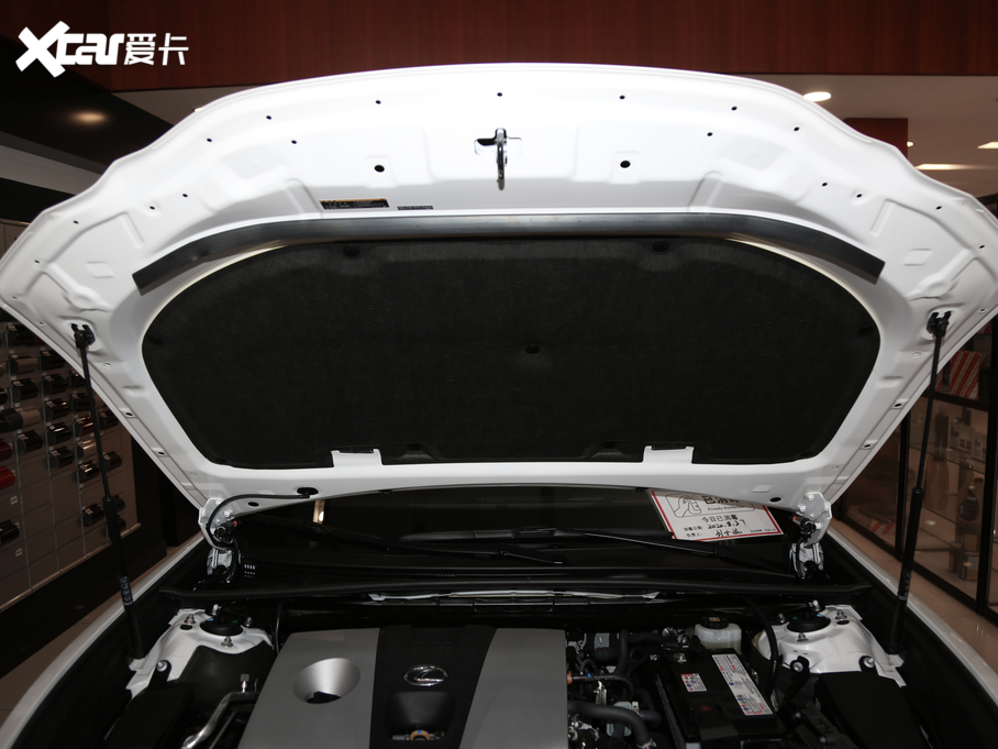 2020׿_˹ES 260 ׿Խ