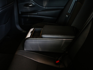 2020款260 F SPORT 后排中央扶手