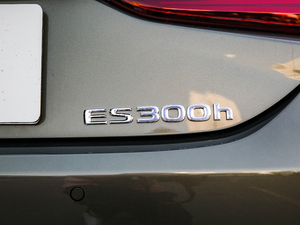 2020款300h 尊享版 细节外观