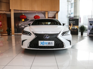 2020款300h 臻享版 正前