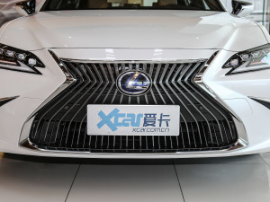 2020款300h 臻享版 中网